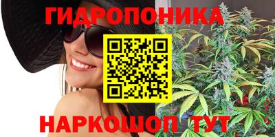 герыч Гатчина